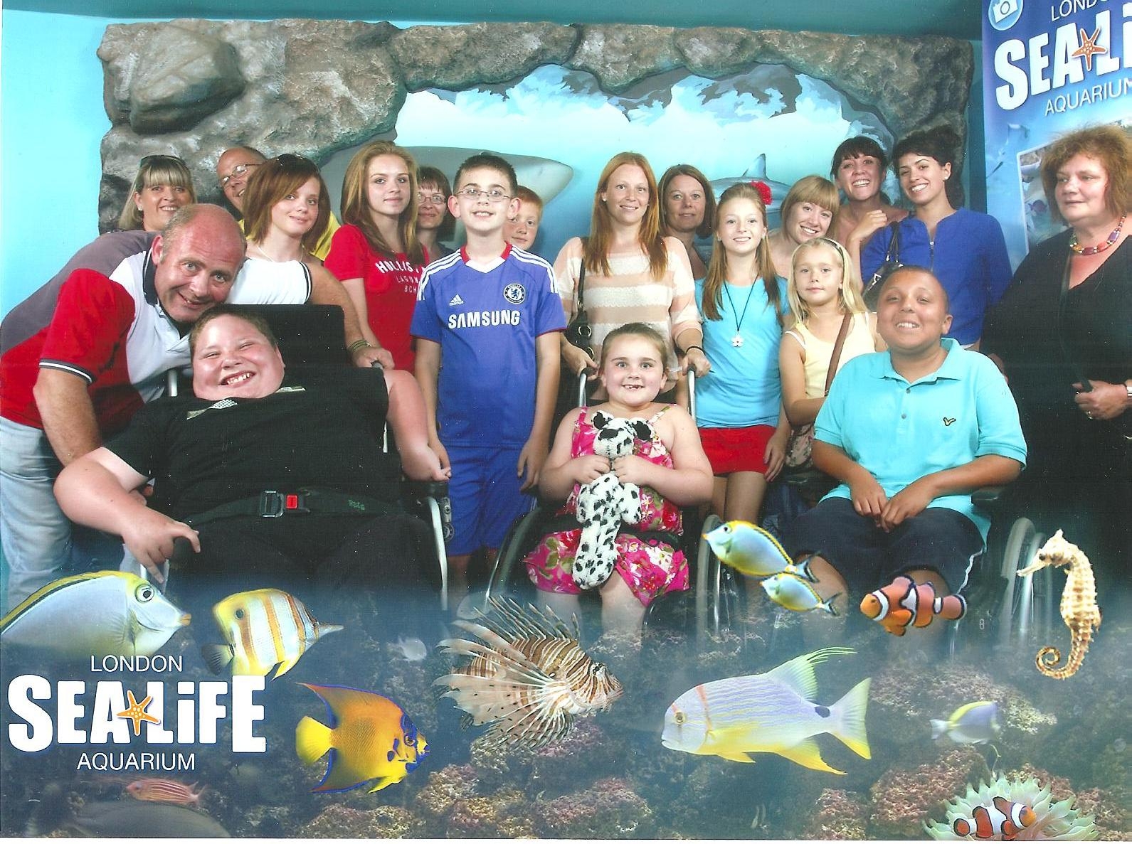 sealife1