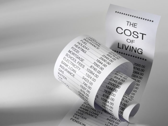 Cost,Of,Living,Shopping,List,Showing,The,Expense,Of,Home